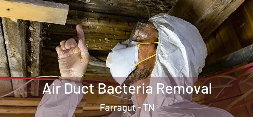 Air Duct Bacteria Removal Farragut - TN