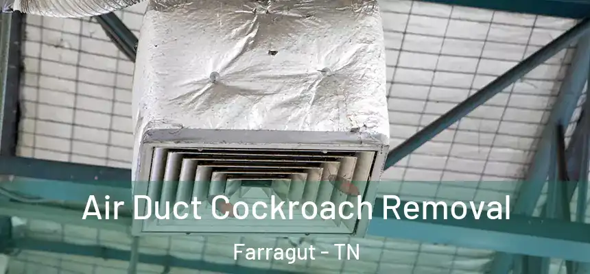  Air Duct Cockroach Removal Farragut - TN