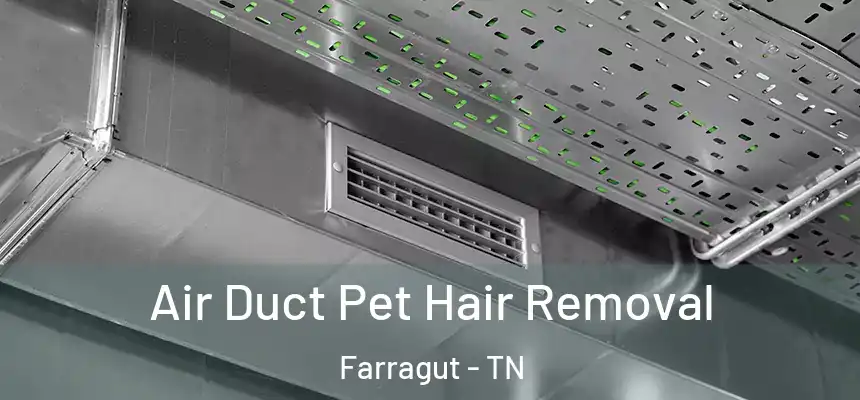 Air Duct Pet Hair Removal Farragut - TN