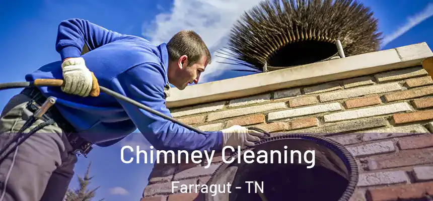  Chimney Cleaning Farragut - TN