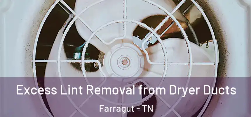  Excess Lint Removal from Dryer Ducts Farragut - TN