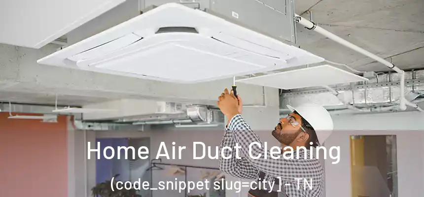  Home Air Duct Cleaning (code_snippet slug=city] - TN