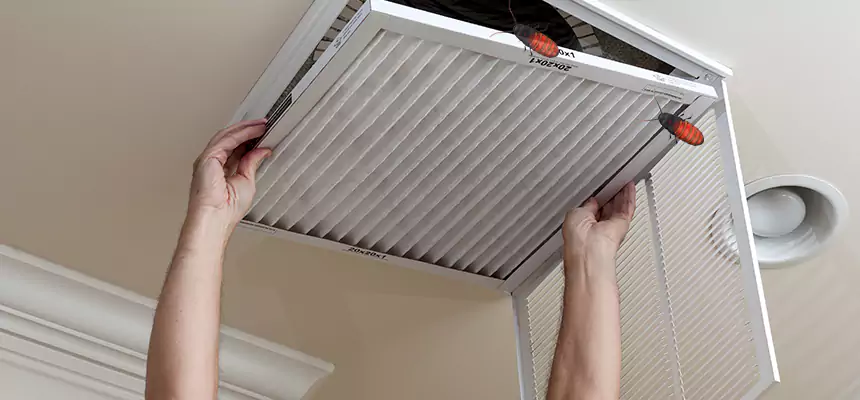 Preventive Cockroach-Proofing for Ducts in Farragut