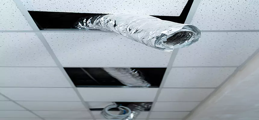 Affordable HVAC Sanitizing After Pest Removal in Farragut