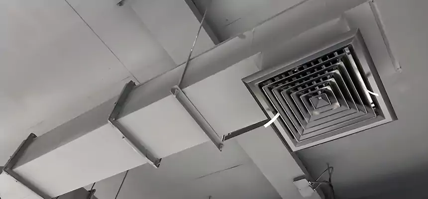 Our Rodent Droppings In Vents Services in Farragut, TN