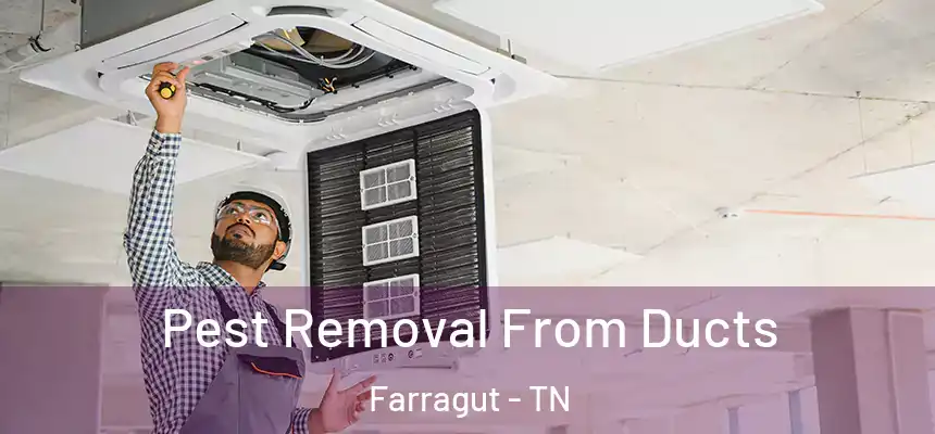  Pest Removal From Ducts Farragut - TN