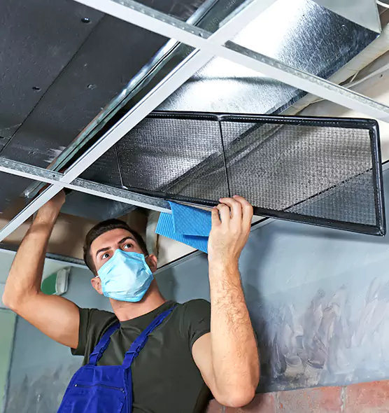 About Air Duct Bacteria Removal in Farragut