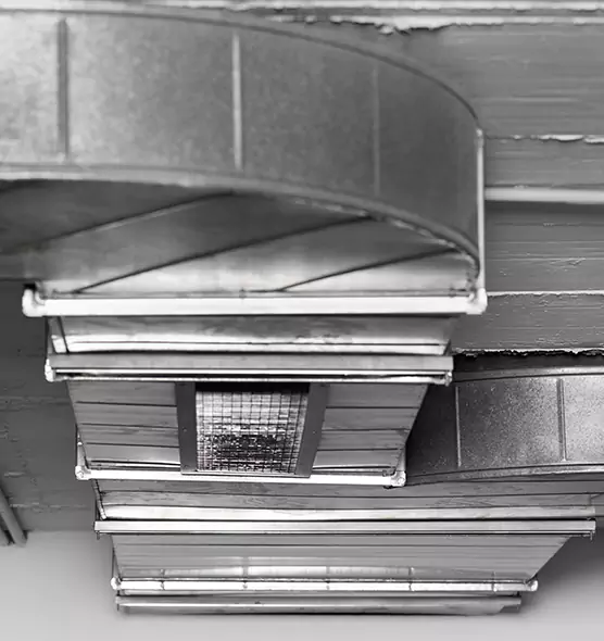 Professional Air Duct Pest Removal in Farragut, TN