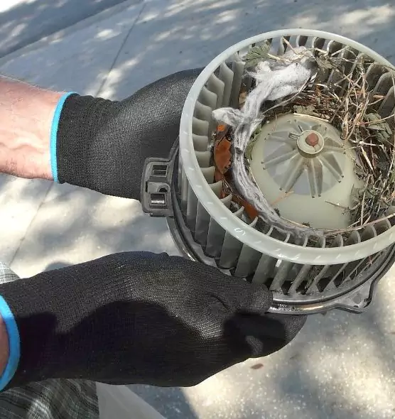 About Air Duct Rat Removal in Farragut, TN