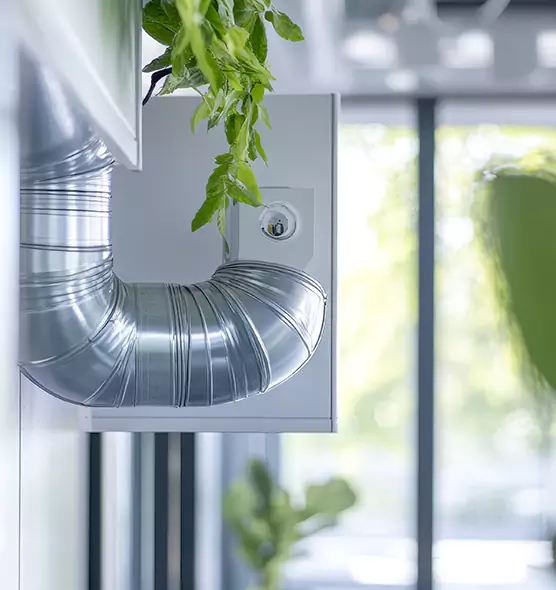 Professional Eco-Safe Dryer Vent Cleaning in Farragut, TN