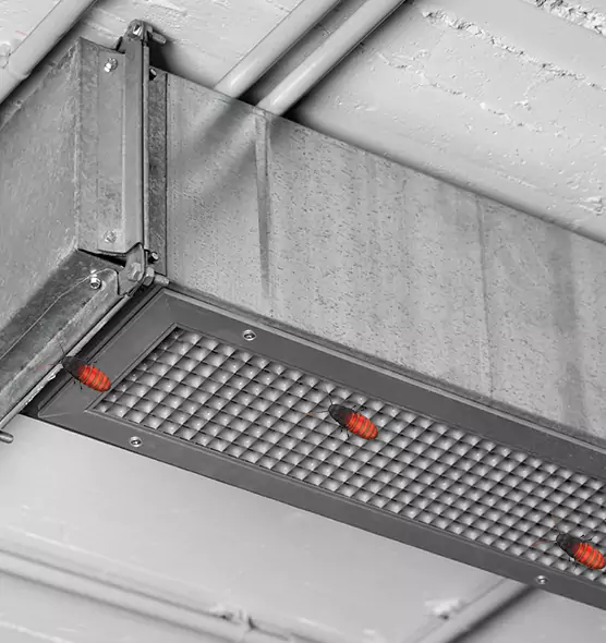 Affordable Insect Removal from Air Ducts in Farragut, TN