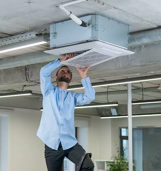 Advanced Rodent Droppings In Vents in Farragut, TN
