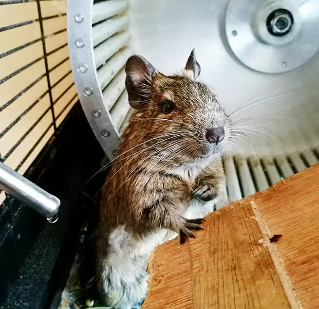 Why Homeowners & Businesses Trust Us Farragut, TN