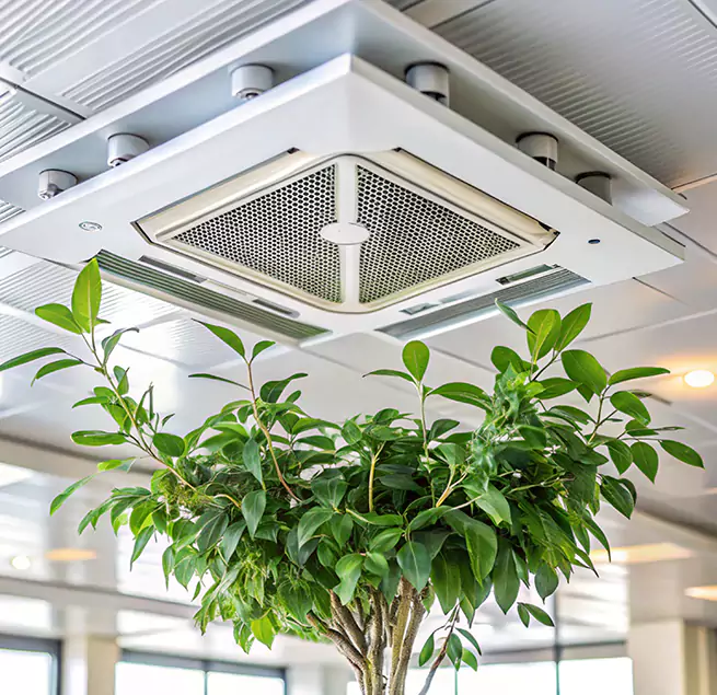 Why Homeowners & Businesses Trust Us in Farragut, TN?