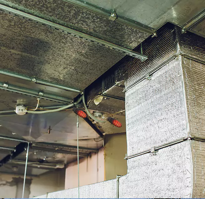 Why Homeowners & Businesses Trust Us Farragut, TN?