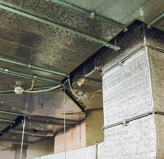 Why Homeowners & Businesses Trust Us in Farragut, TN?